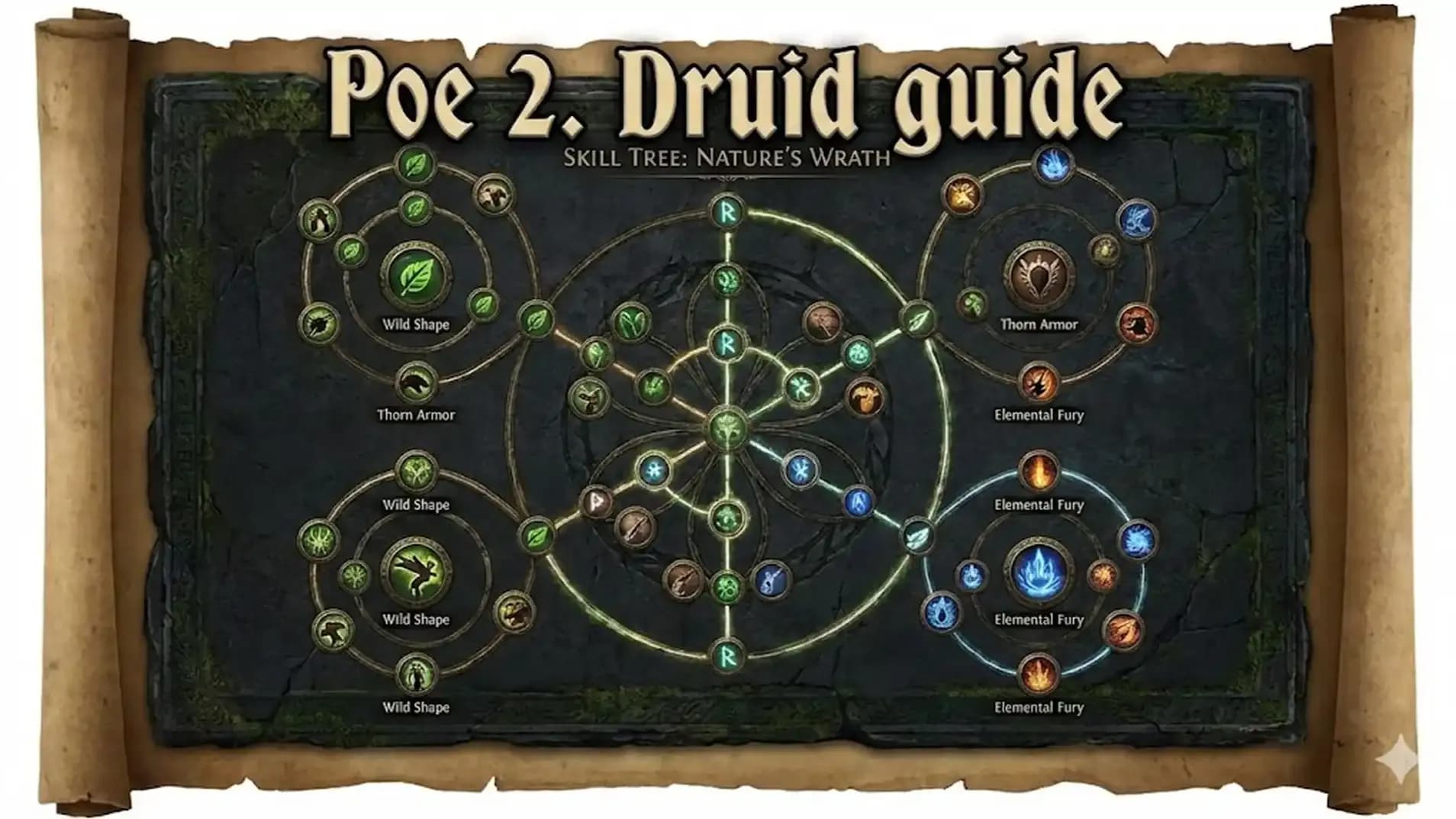 PoE 2 Druid guide | 0.4 Path of Exile Druid Guide