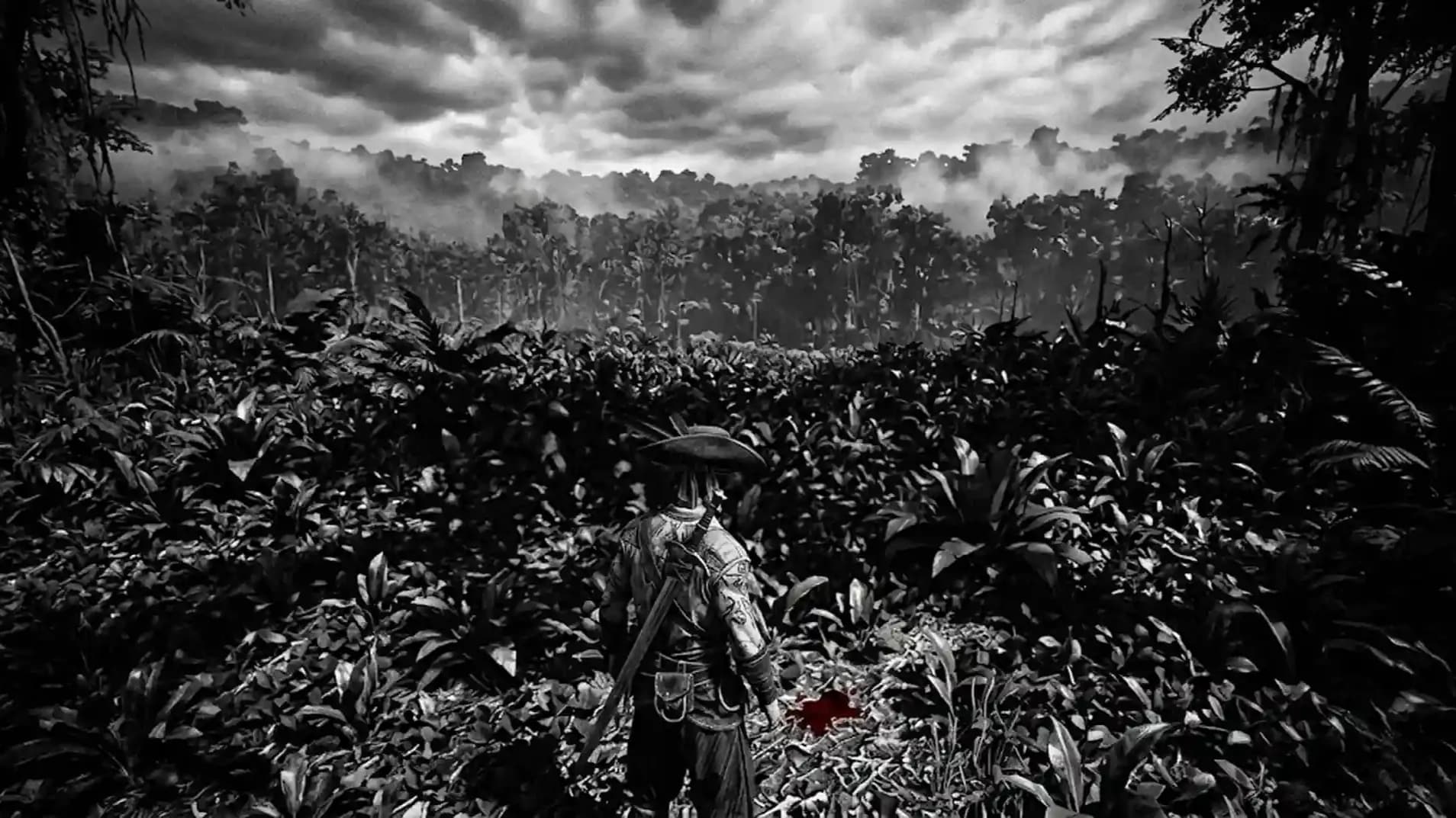 How to Find Tar in Windrose