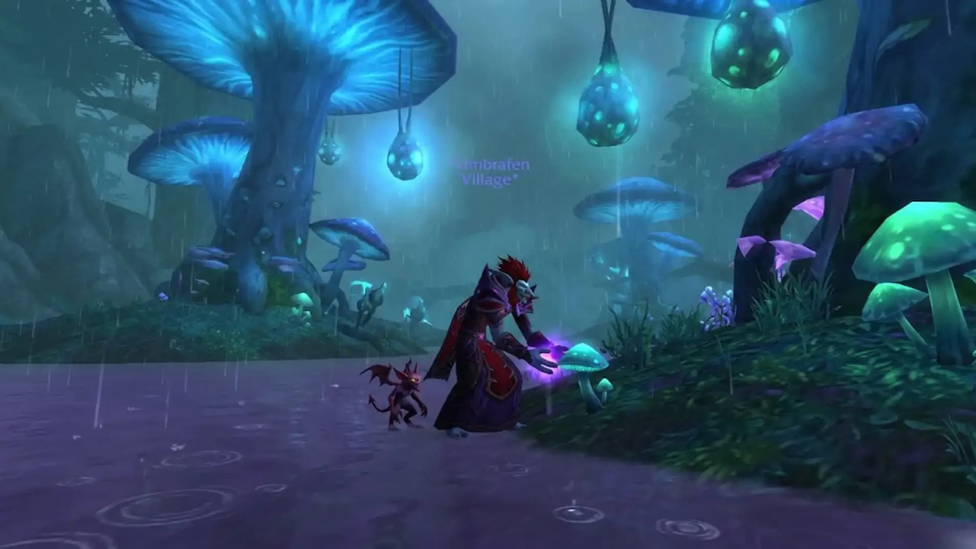 Protection Paladin TBC Classic Anniversary Guide