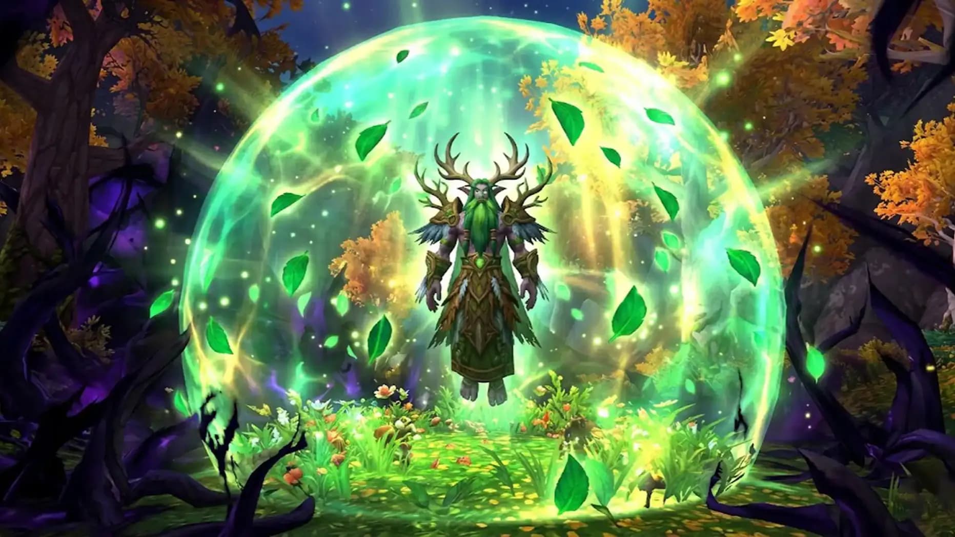 Protection Paladin Macros and Addons: WoW Midnight