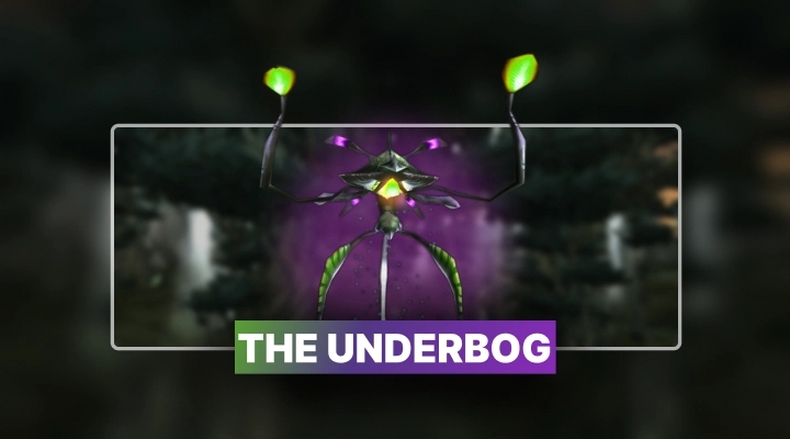 TBC Anniversary The Underbog Boost